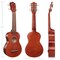 Ashthorpe Soprano Ukulele for Beginners, 21-inch 4 String Uke Starter Bundle Kit for Kids with Gig Bag, Cloth, and Picks